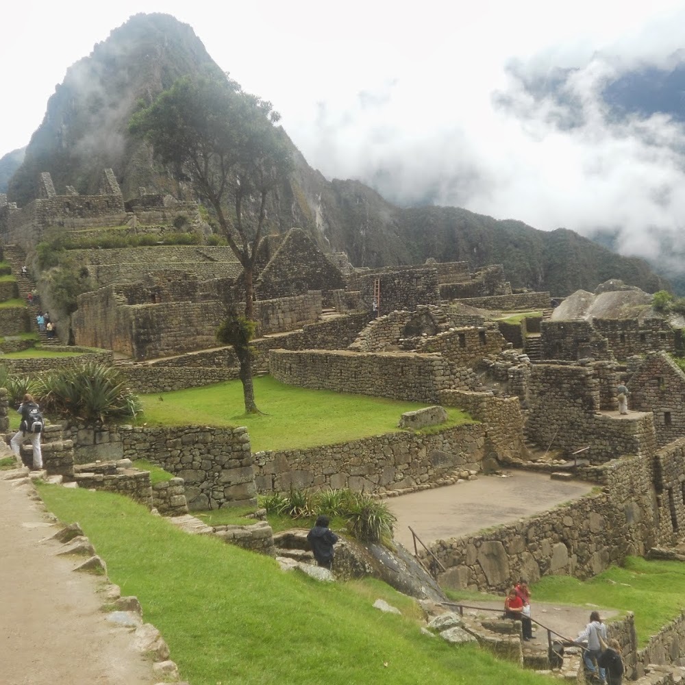 Meet your Posher, Bonita